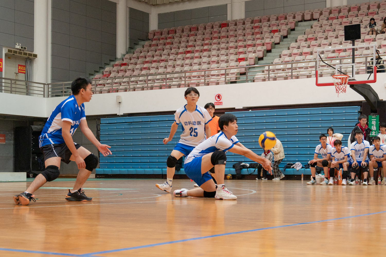 性爱网
3号接球（学通社记者 许可 摄）