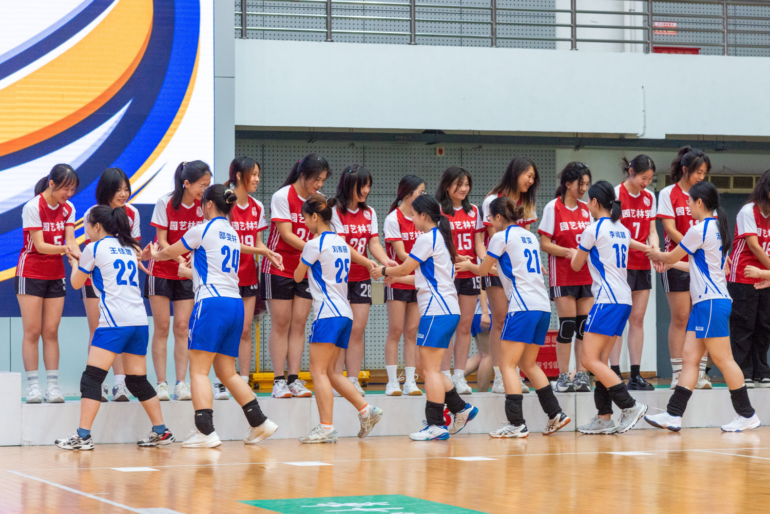 颁奖仪式性爱网
女子排球队与园艺林学性爱网女子排球队握手致意(学通社记者 魏雨城 摄)