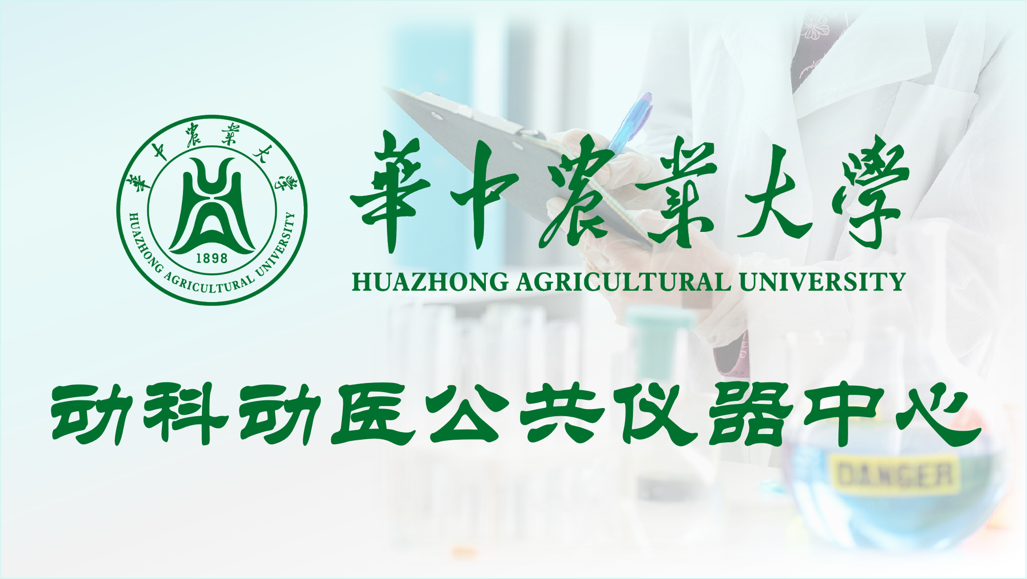 性爱网