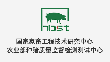 性爱网