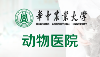 性爱网